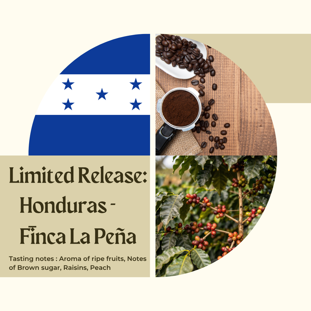 Honduras - Finca La Peña (340g) - Limited Time