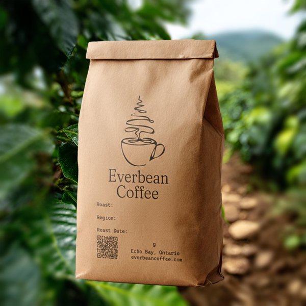 Costa Rica Tarrazú - Light-Medium (340g) - Limited Time